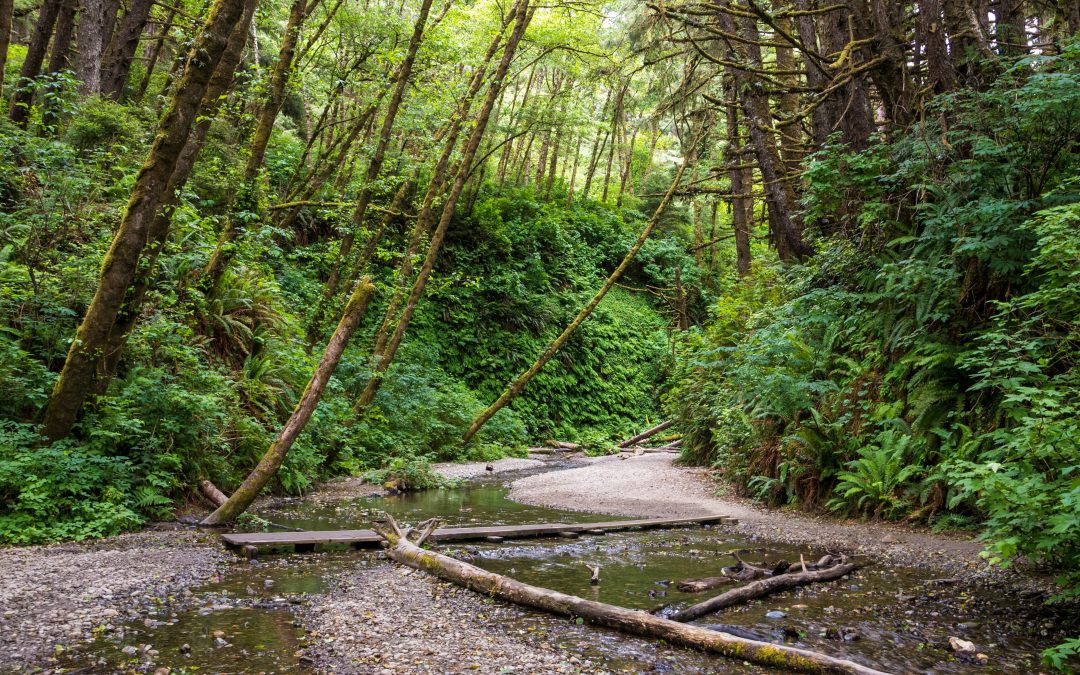 5 Great Places to Walk or Hike Near Ladera Ranch